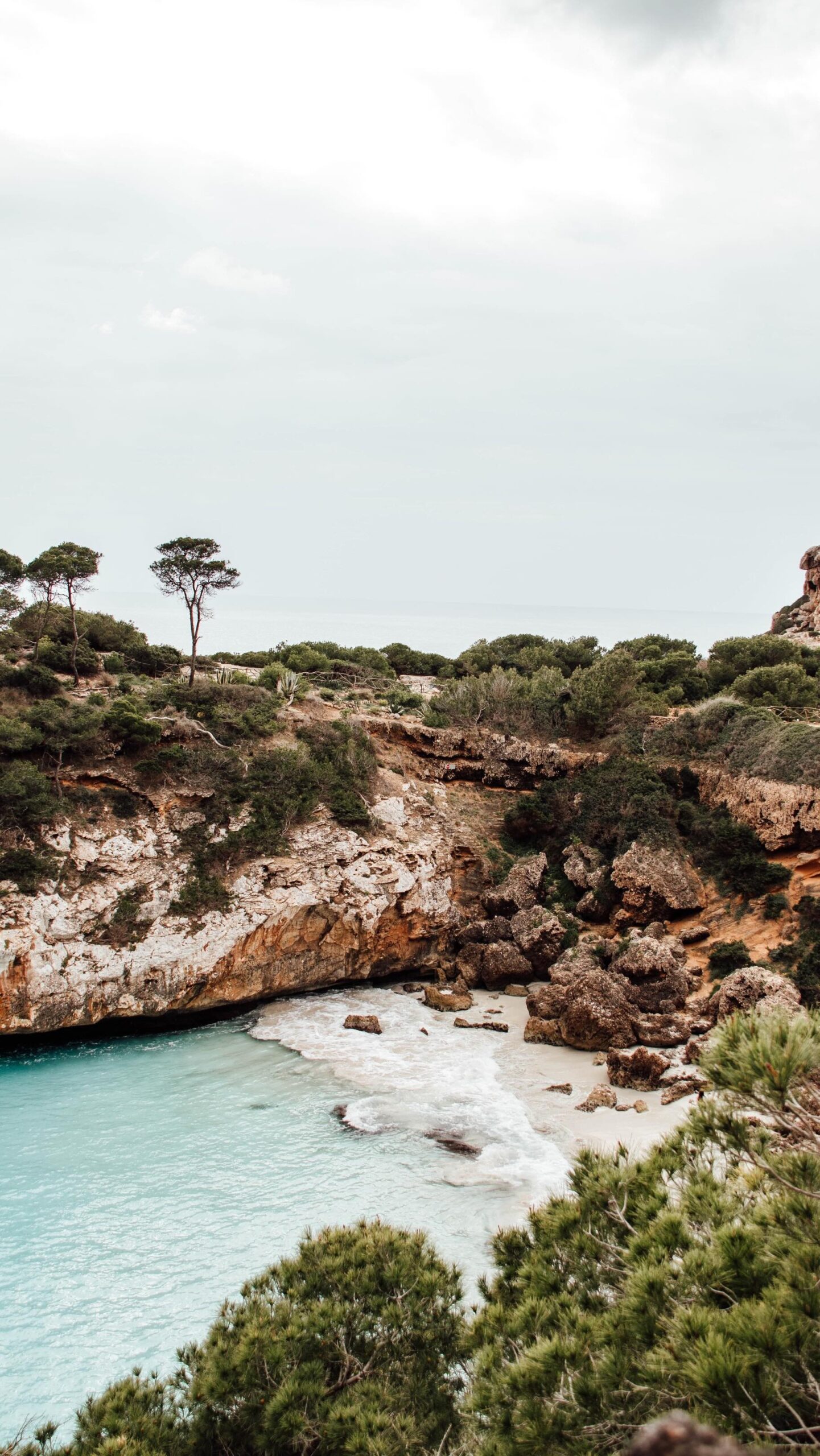 Don’t miss these 10 amazing spots when visiting Mallorca with your kids! 🏖️🐠

1️⃣ Playa de Muro: Shallow waters and soft sand – perfect for toddlers.
2️⃣ Palma Aquarium: Sharks, touch pools, and a 3D cinema for little explorers.
3️⃣ Sóller Train: A charming vintage train ride with stunning mountain views.
4️⃣ Drachenhöhlen (Dragon Caves): Incredible underground caves with a lake concert.
5️⃣ Hidropark Alcúdia: A fun water park with slides and splash zones for all ages.
6️⃣ La Reserva Nature Park: Easy trails, waterfalls, and ziplining adventures.
7️⃣ Capdepera Castle: A medieval castle where kids can explore and imagine knights and dragons.
8️⃣ Western Water Park: A cowboy-themed water park for a full day of fun.
9️⃣ Formentor Peninsula: Take a scenic drive to breathtaking viewpoints and kid-friendly beaches.
🔟 Alcúdia Old Town: Stroll the historic streets, visit the market, and grab some local treats.

Save this list for your next trip and tell us: Which of these would your family love most?

#MallorcaWithKids #FamilyTravel #MallorcaAdventures #TravelWithKids #BucketList